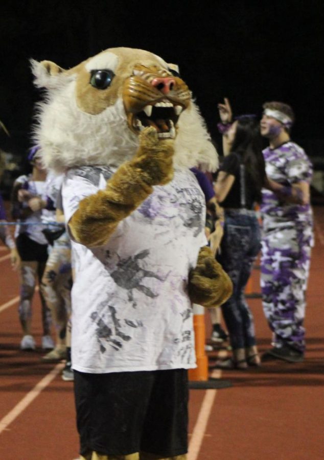 THUMBS UP. Disguised at Willie the Wildkat, senior Jazmine Boston fires up the crowd at the first home game.  I love being the mascot because I get ot bring spirit to the students inside and outside the suit, Boston said. Believe it or not, I lost my voice Friday yelling with the Pit Kru!