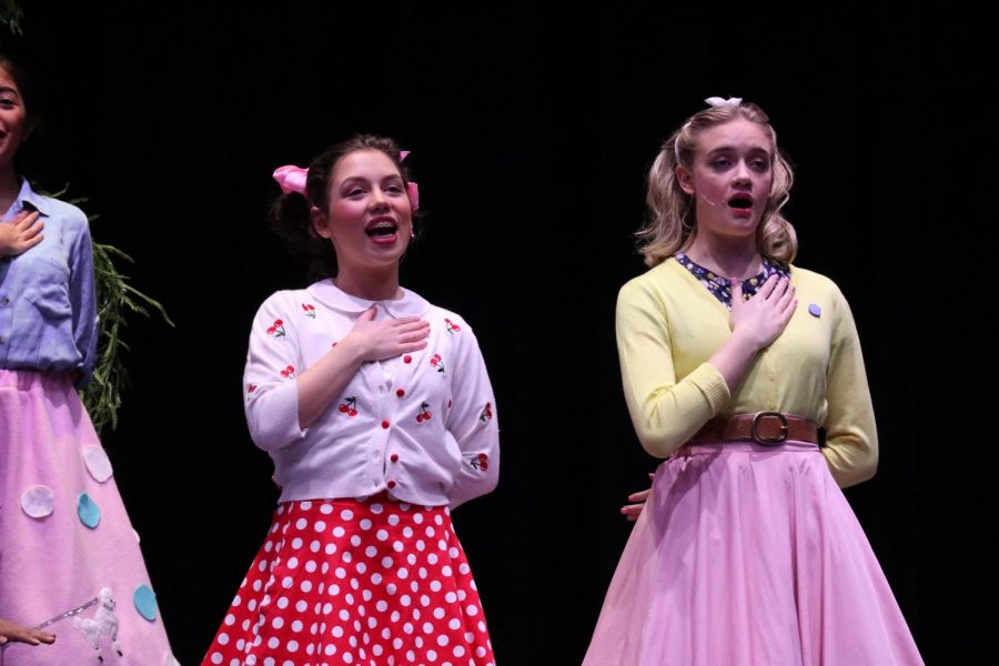 Bye Bye Birdie took the stage of the WISD Performing Arts Center Jan. 31 and Feb. 1. The musical was a collaborative effort of choir, drama, band with sets created by the Visual Arts Department and programs designed by Wildkat Media. 