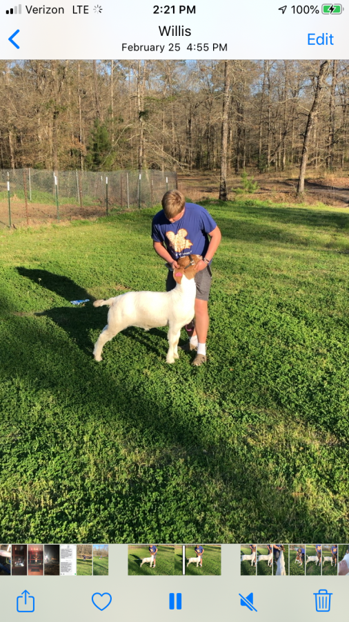 With his goat JD, sophomore Kaleb Sprayberry spend time preparing for a show.