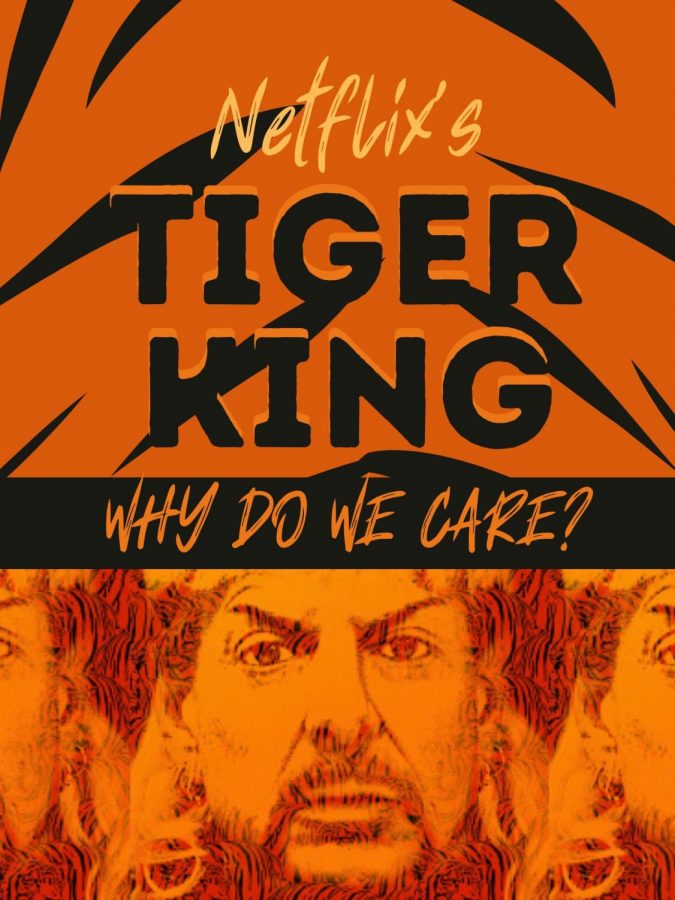 Over 64 million viewers have watched the Netflix documentary Tiger King: Murder, Mayhem and Madness. 