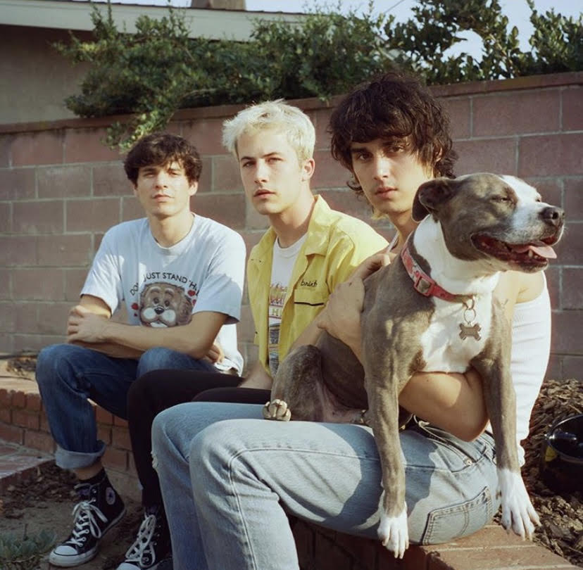 THESE DAYS. The new alternative music group, Wallows has an exciting lineup of music including their song These Days. With several singles, an album, and an EP on the way, the group has released a lot of new songs within the past year.