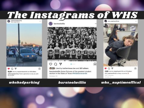 JUST FOR FUN. Three new Instagram accounts now entertain the Wildkat community. 