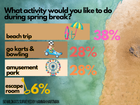 SPRING BREAK DREAMS. With just a few days until break, students would love to head to the beach or have fun at the amusement park or bowling alley.