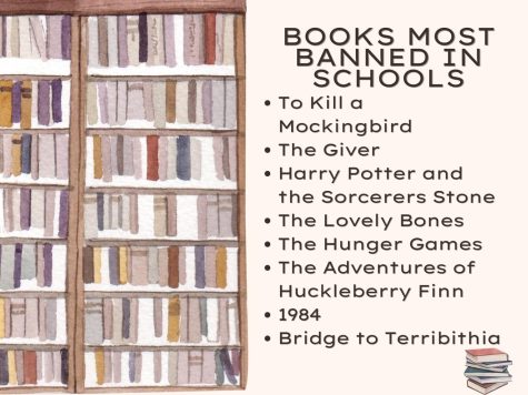 BANNED CLASSICS. Many of the classics are banned in some schools. Texas leads the nation with the most banned books.