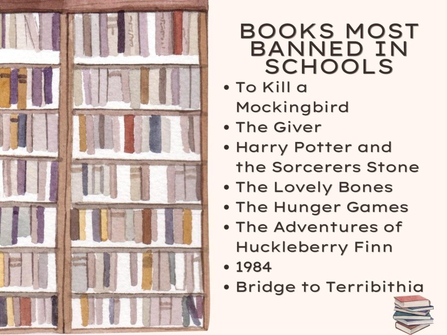 BANNED+CLASSICS.+Many+of+the+classics+are+banned+in+some+schools.+Texas+leads+the+nation+with+the+most+banned+books.