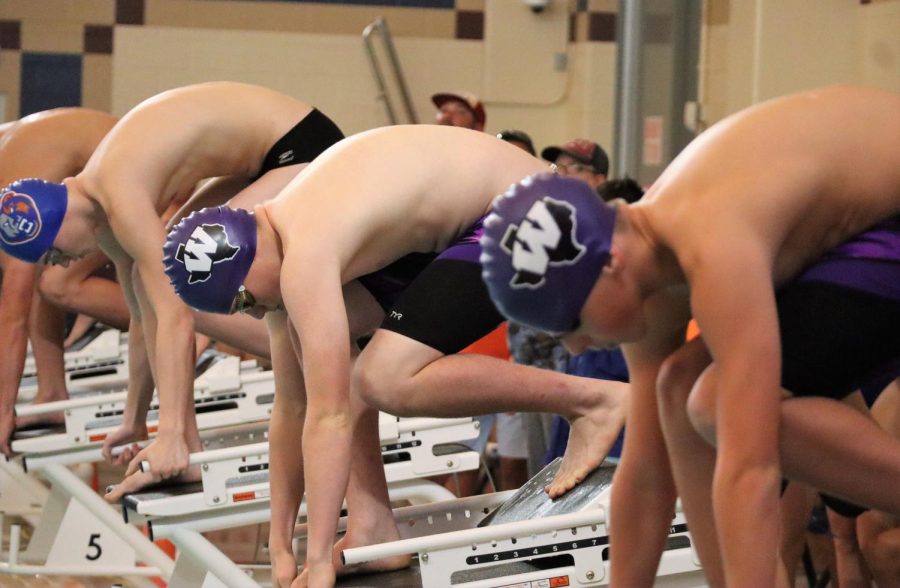 ON+THE+BLOCKS.+Wildkat+swimmers+senior+Brooks+Cesan+and+take+their+mark+to+begin+the+race.+