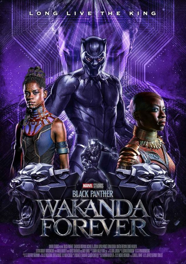 LONG+LIVE+THE+KING.+Wakanda+Forever+continues+the+story+after+the+tragic+death+of+lead+Chadwick+Boseman.+