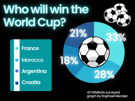 WORLD CUP. WIth many of the favorites knocked out of the competition, the World Cup Championship may go to an underdog.