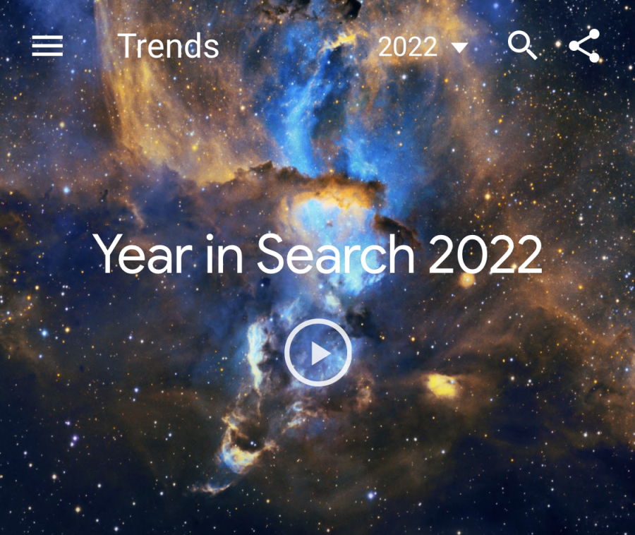 TOP SEARCHES. Search engine google created a video highlighting the top searches of the year. Link is in the story. 