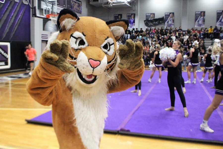 WANNA BE THE WILDKAT? Tryouts for cheer and the mascot are soon. A mandatory meeting is Thursday or next Tuesday. 