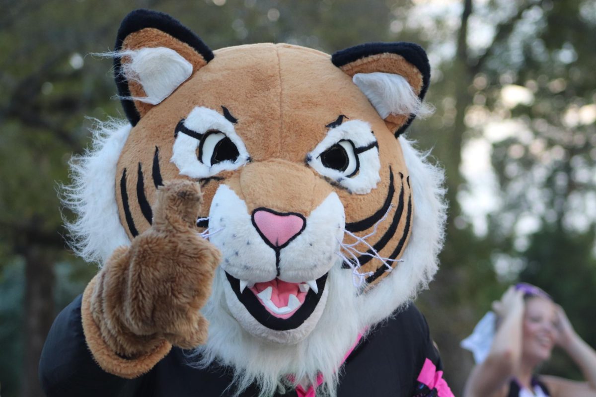 FEELING WILLIE GROOVY. Dressed as Willie the Wildkat, senior Bradley Lottinger peps up the crowd during the homecoming parade. 
