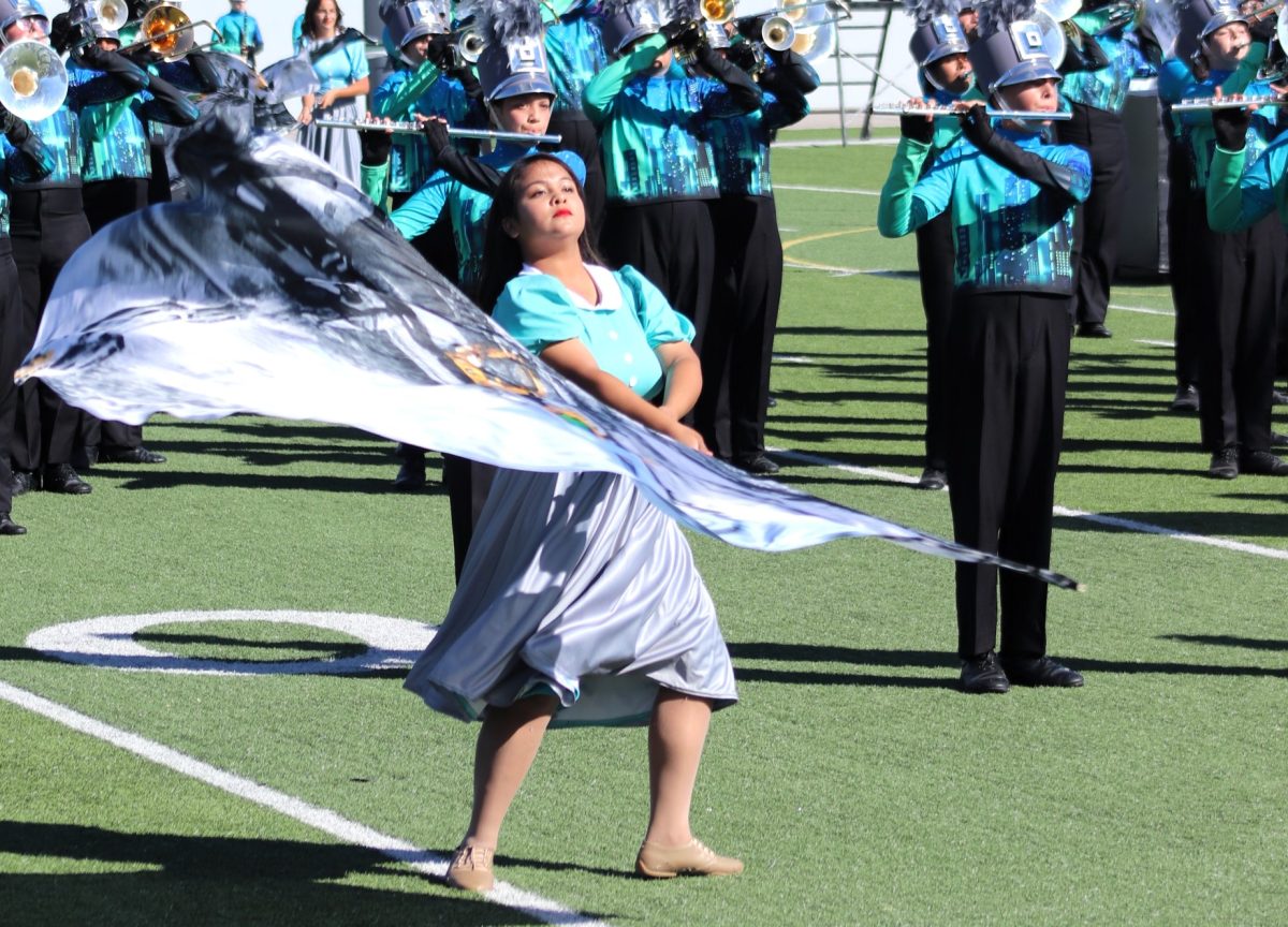 LEADING WITH STYLE. With her swing flag, senior Isabella Gallegos performs with the band at area. Gallegos is the captain of the color guard and has been a member of color guard for four years.