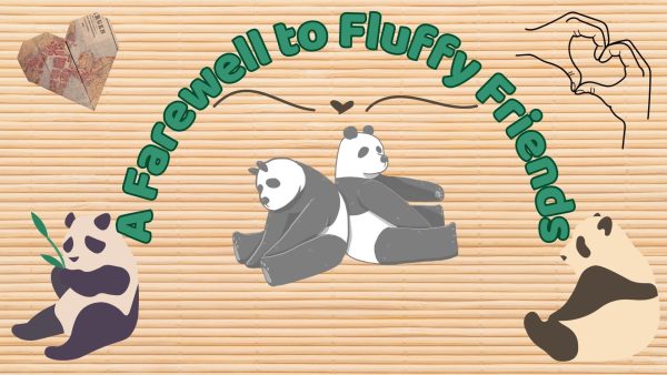 Headed on home. U.S. to be without pandas within the next year.