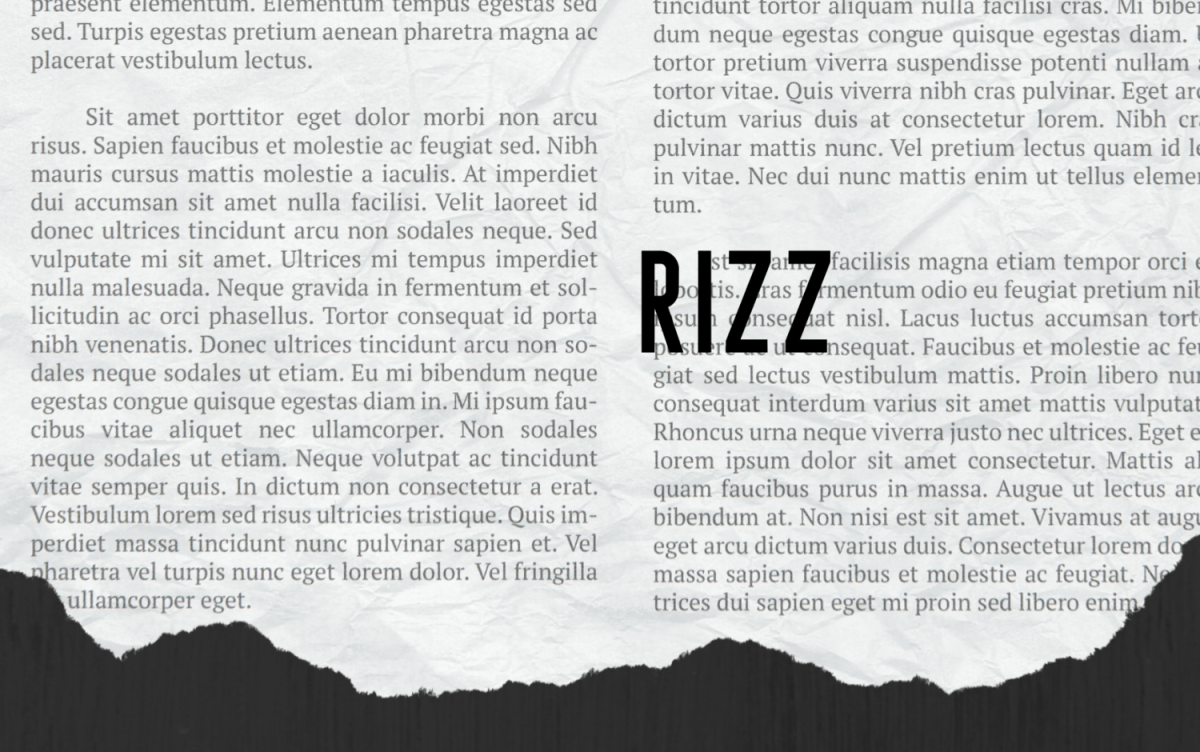 RIZZ FOR THE WIN. The top word for 2023 is rizz according to the Oxford Dictionary. 
