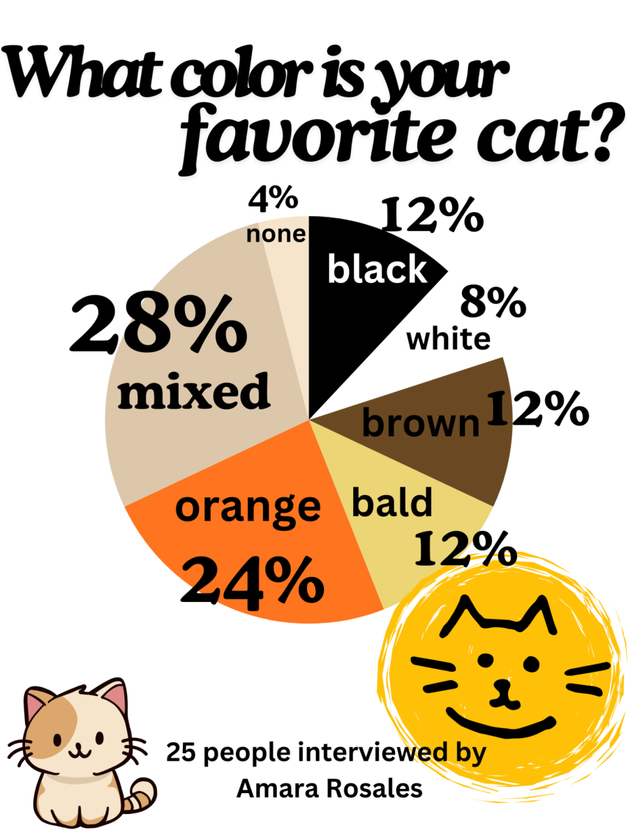 What color cat is your favorite