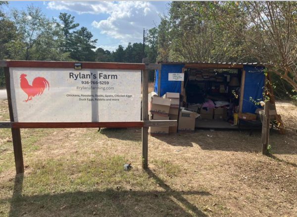 HELPING HAND. The creation of the stand is help all the members of the community, and has a vast amount of items of items, clothes, dishes, and more. The stand is based behind Ryland's farm, and is located at 14577 Trero Lane in Willis, Texas.