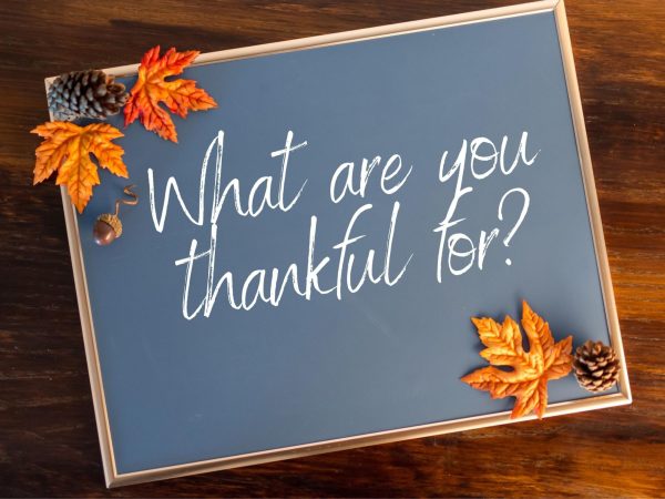 THANKFUL SEASON. Students answer questions about food and thankfulness. 