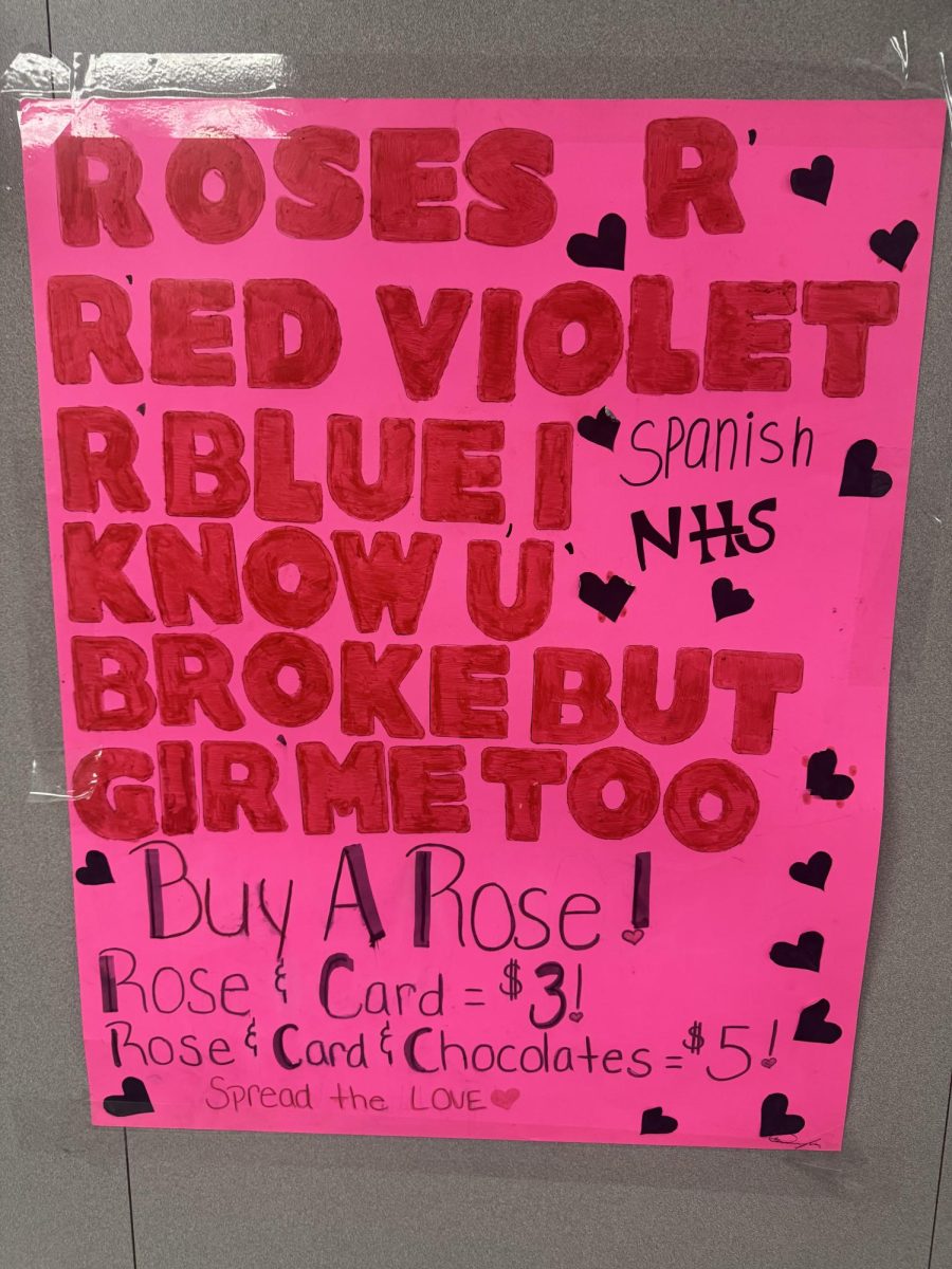 LOVE IN THE AIR. SNHS is beginning to sell roses for their yearly Valentine Fundraiser. From prices from 3 to 5 dollars, students are able to purchase roses, cards and chocolates for their special someone during lunches.