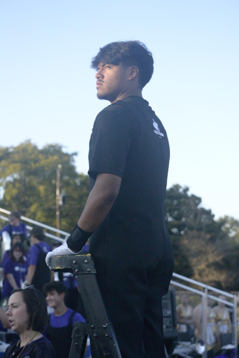 _DSC0006tc
