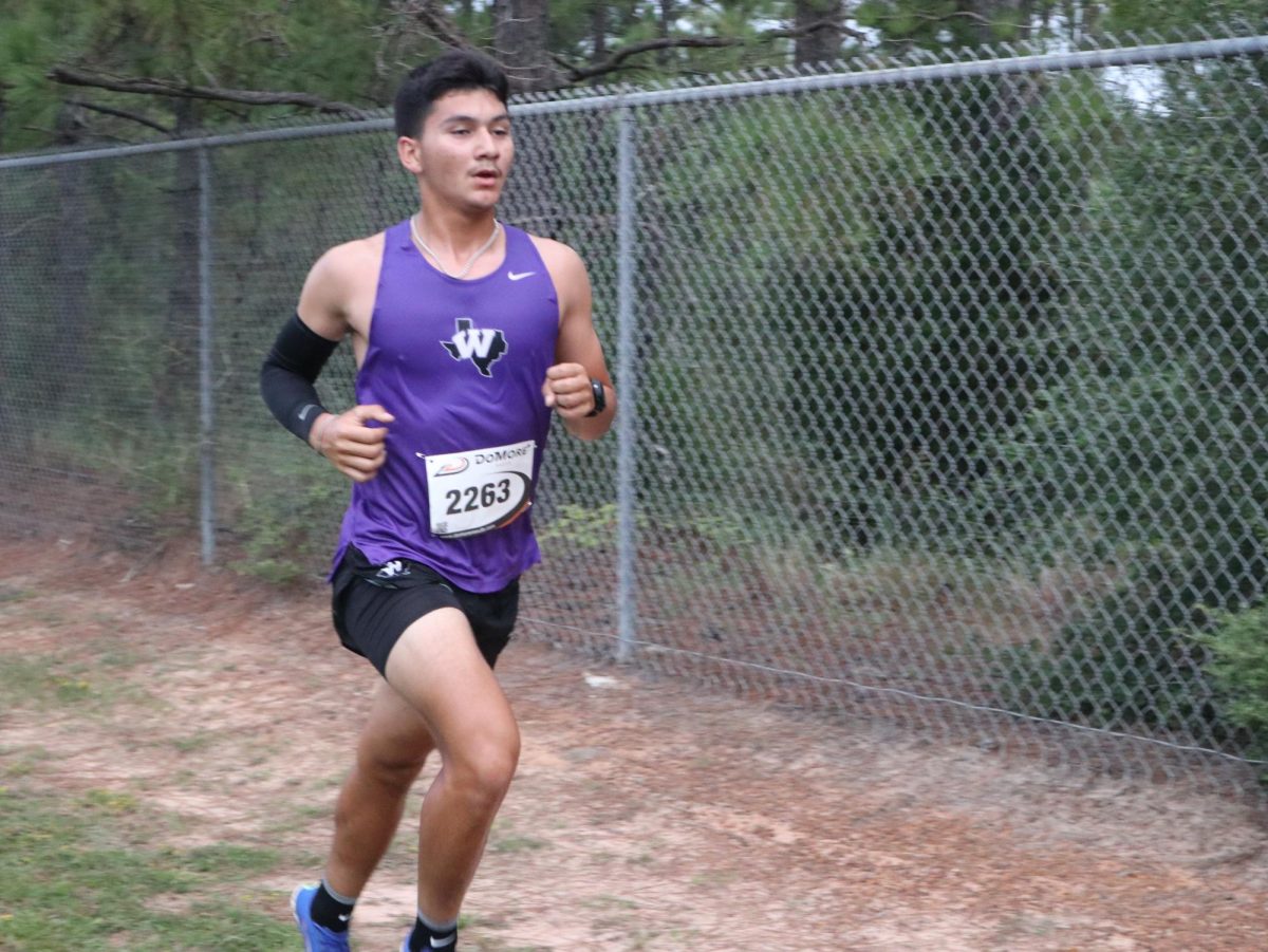 MAKING STRIDES. At a meet earlier in the season in Magnolia, senior Lukas Cruz sets his pace. The team is running at the district meet Thursday. 