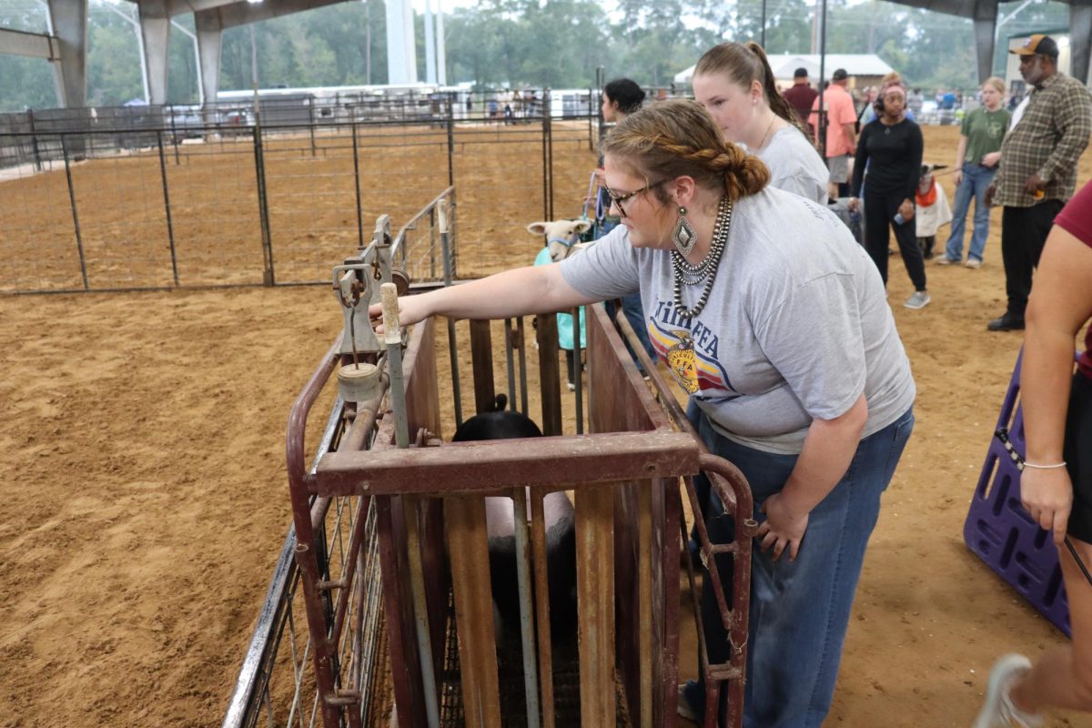 THIS LITTLE PIGGY. Making sure she measures perfectly, ag teacher Ashlyn Real works at the Charles Traylor Memorial Prospect Show. Before the show starts, pigs had to be weighed in on Saturday