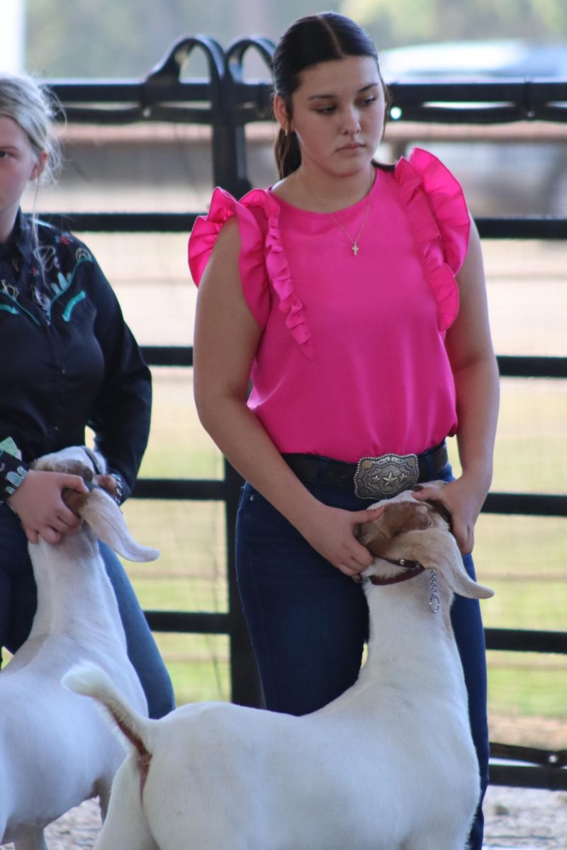 WAITING IN THE RING. Showing her goat, sophomore Kinsey Tedder waits for the judge to chose the winner. 