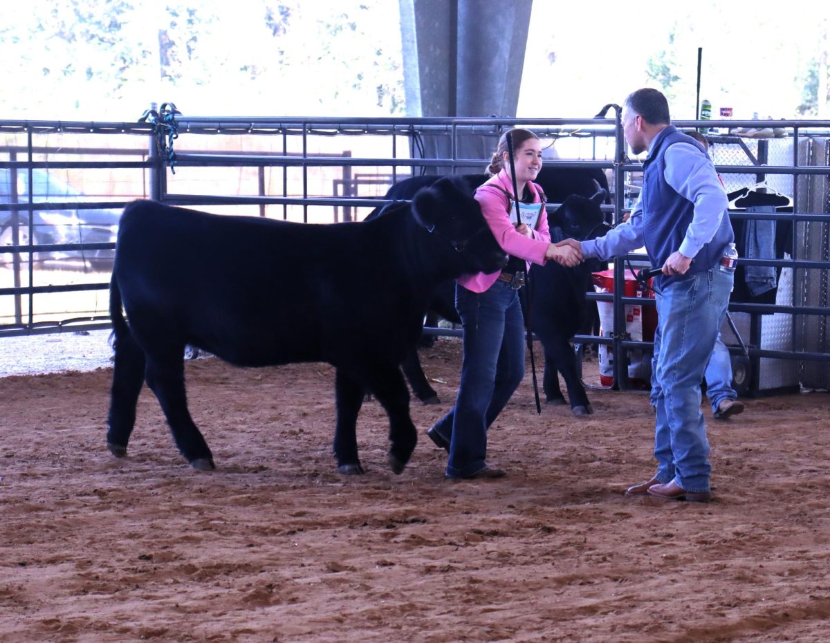 Shaking hands with the judge, 8th grader Kail Rose Traylor shows in the first annual Charles Traylor Memorial Prospect Show. the show was named after her grandfather. 
At the show she won Reserve Intermediate Steer Showmanship, second in class, Reserve Breed, Champion Intermediate Heifer Showmanship, first in class, Champion Maine-Anjou, Champion Exotic and Supreme Champion Heifer.
*1st in class, Champion Commercial Heifer with Molly