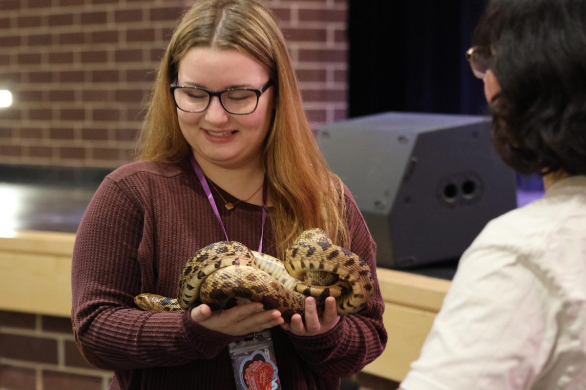 SLITHERY SCHOLAR. Making a new friend in art class, junior Kelly Pavlock holds a bull snake when The Learning Zoo came to campus.