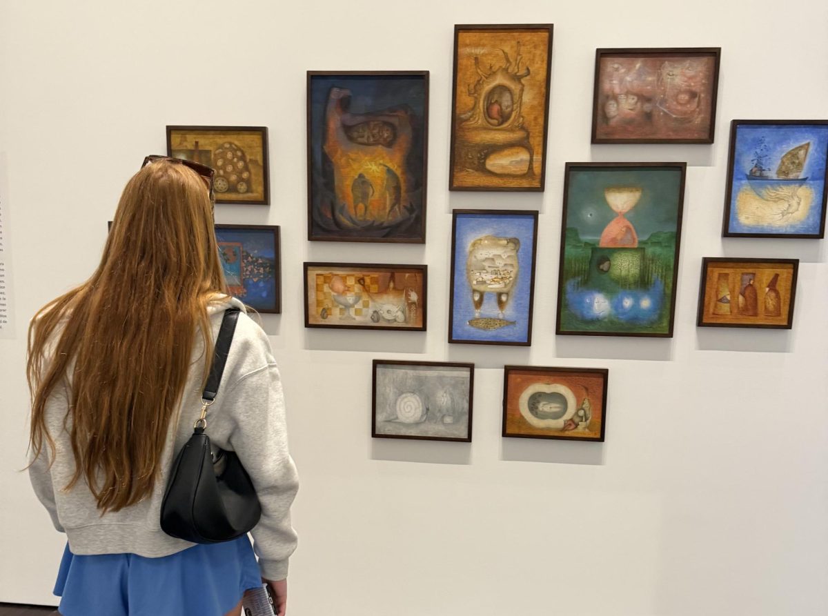 BEAUTIFUL WORKS. At the Blanton Art Museum on the UT campus, junior Braelynn Wheeler studies the exhibit. As part of their trip, the journalism students visited the museum and shopped in the gift ship.