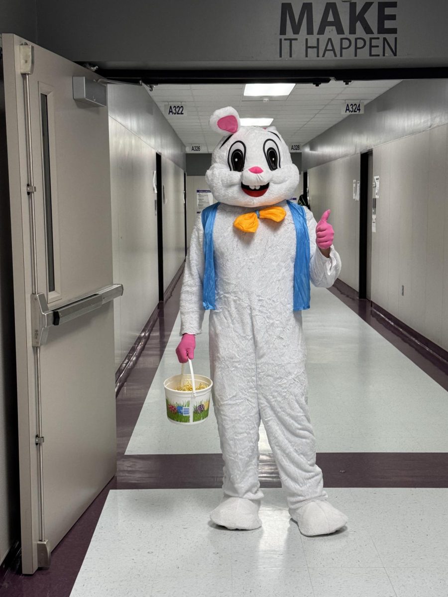 HERE COMES PETER COTTONTAIL. The Easter Bunny had Minga points in the eggs he passed out today. 
